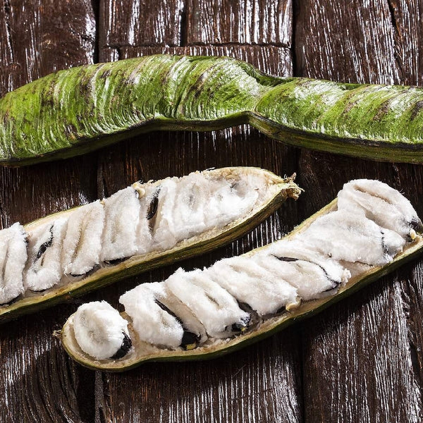 Ice Cream Bean (Inga Edulis) - Fruit Plant