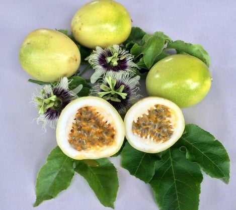 Passionfruit