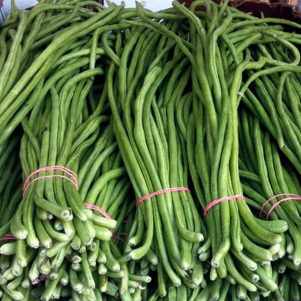 Cowpea