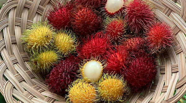 Rambutan Varieties Comparison Table