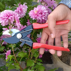 Double Cut Pruning Shears - Garden Tool