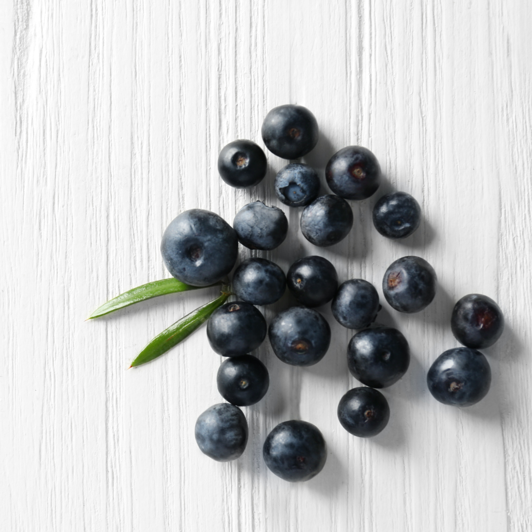 Acai Berry - Euterpe oleracea - Fruit Plant