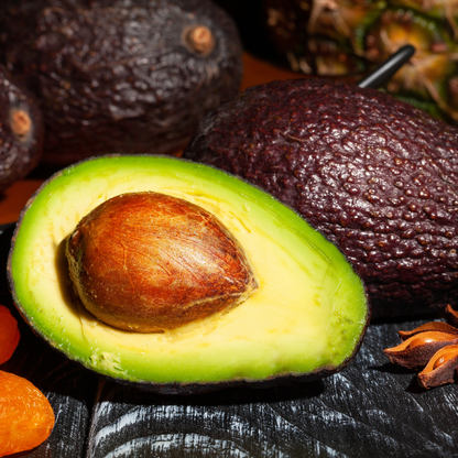 Avocado - Lamb Hass - Hybrid Fruit Plant