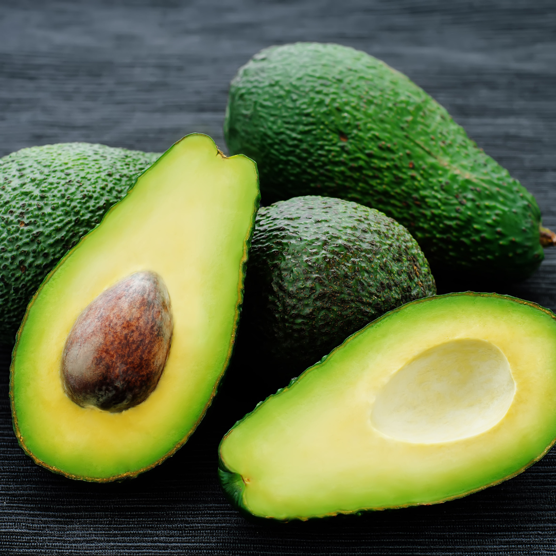 Avocado - Sharwill - Hybrid Fruit Plant