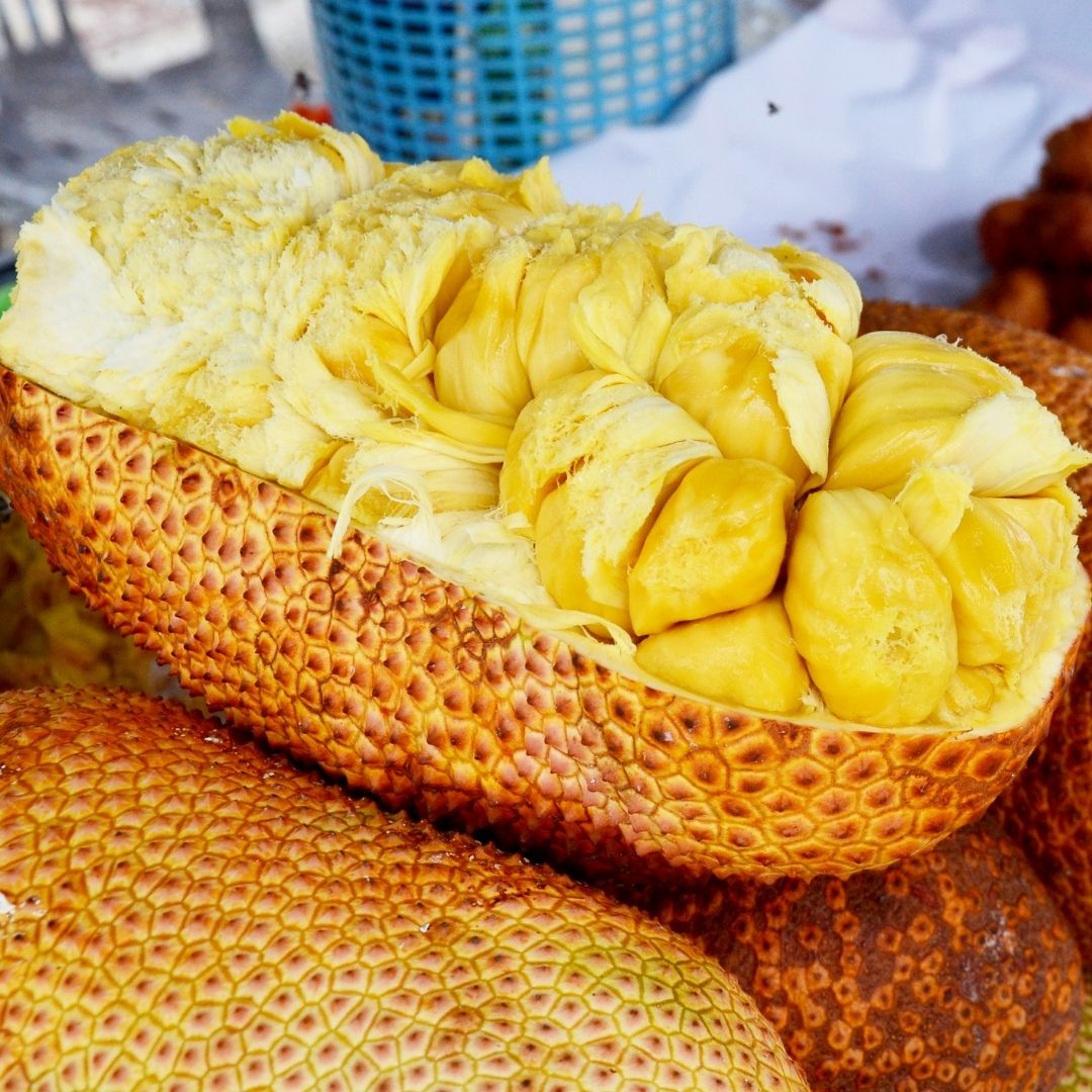 Chempedak - Artocarpus integer Fruit Plant