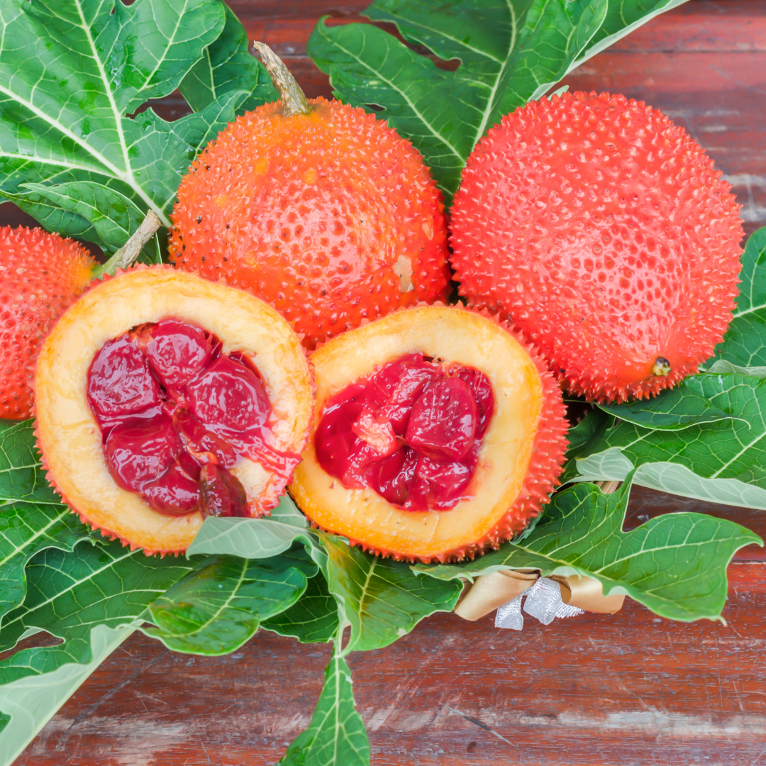 Red Gac Fruit Seeds – M-Tech Gardens