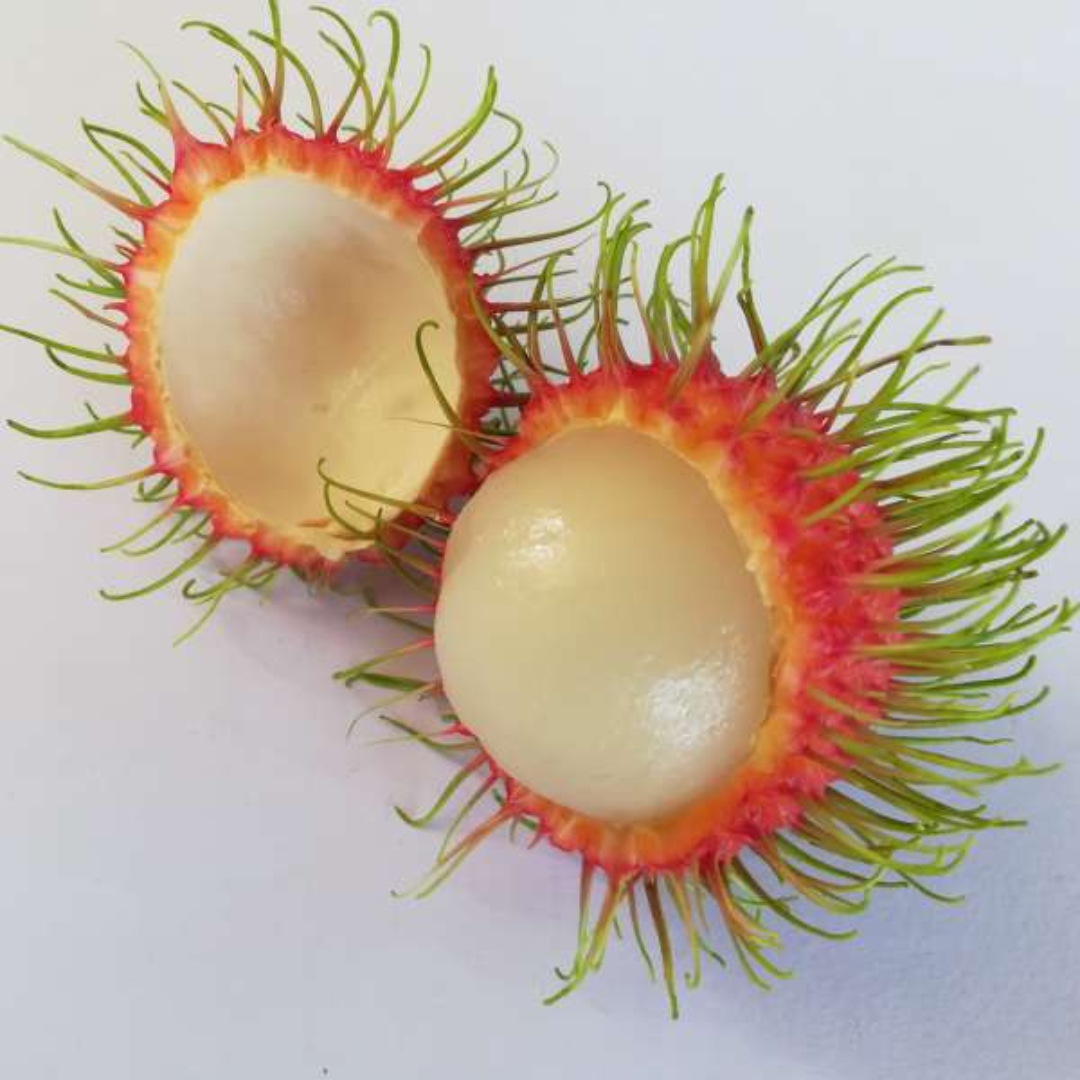 Rambutan - Jarum Emas - Hybrid Fruit Plant