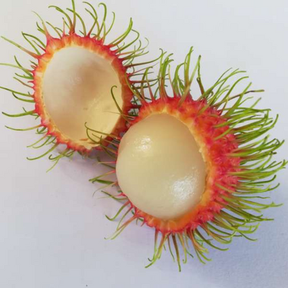 Rambutan - Jarum Emas - Hybrid Fruit Plant