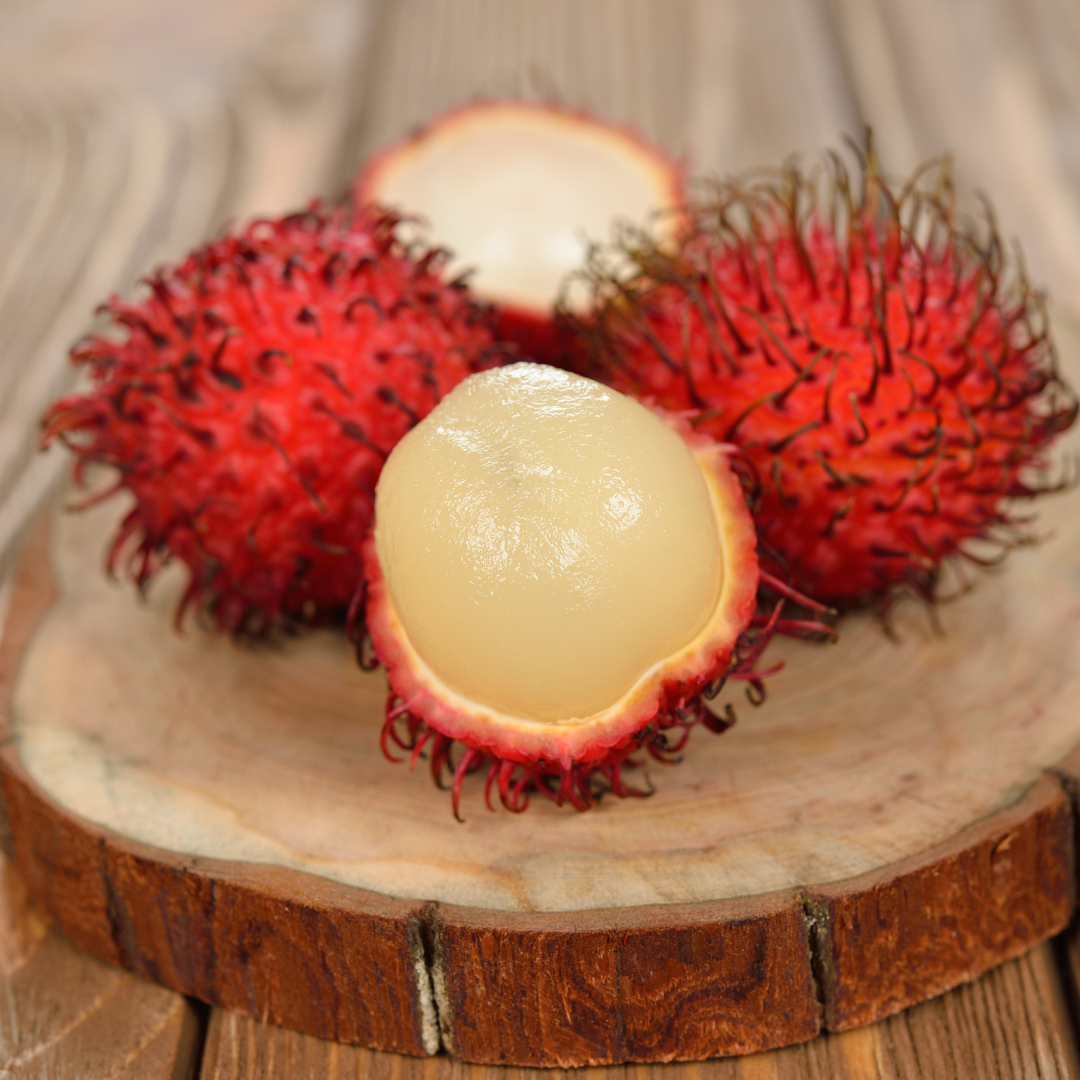 Rambutan - KG10 - Hybrid Fruit Plant