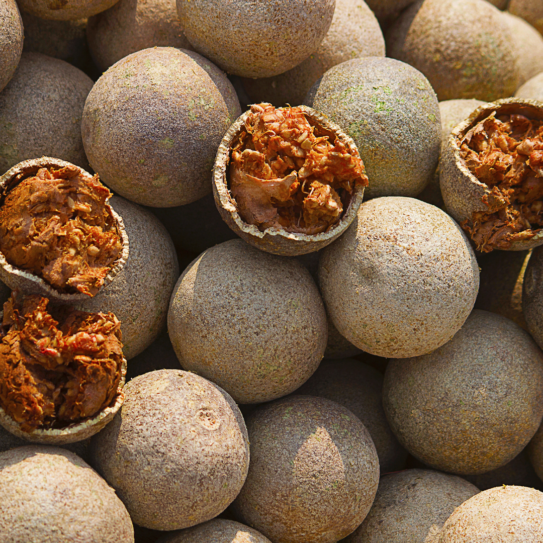 Wood Apple / Bel - Limonia acidissima Fruit Plant
