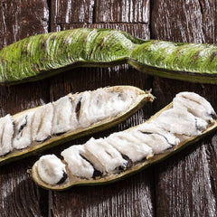 Ice Cream Bean (Inga Edulis) - Fruit Plant