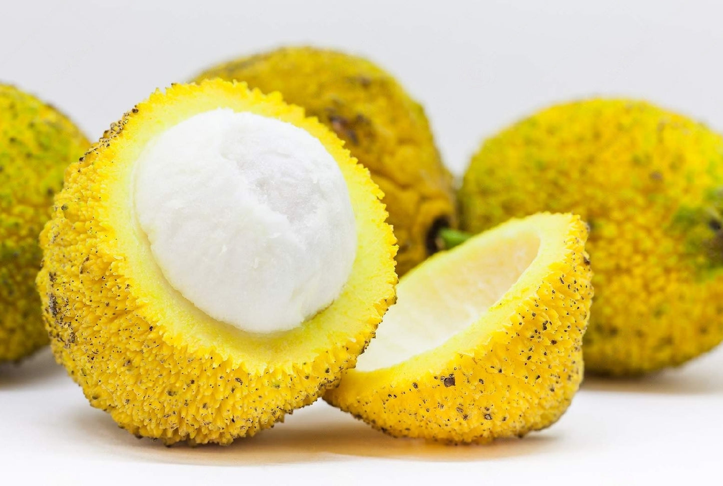 Madrono Fruit (Garcinia Madruno) Fruit Plant