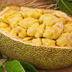 Hybrid Jackfruit - Golden Pillow Jackfruit Exotic Fruit Plant