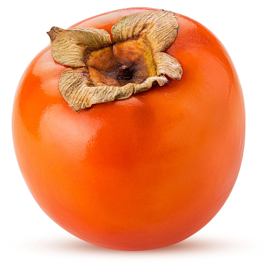 Persimmon " Nightingale  " Exotic 5 Fruit Seeds