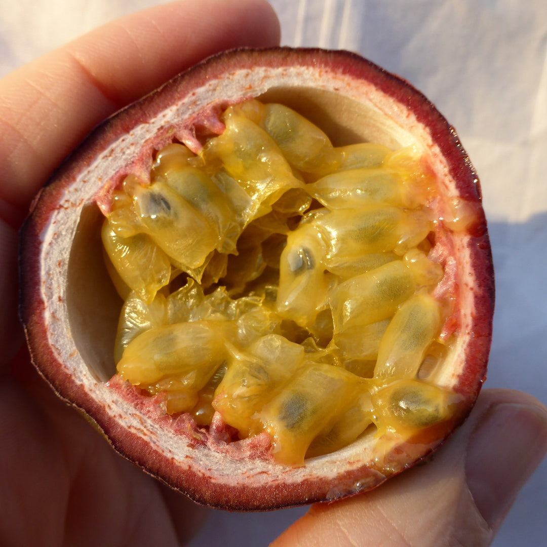 Passionfruit " Sweetheart  " Exotic 20 Fruit Seeds