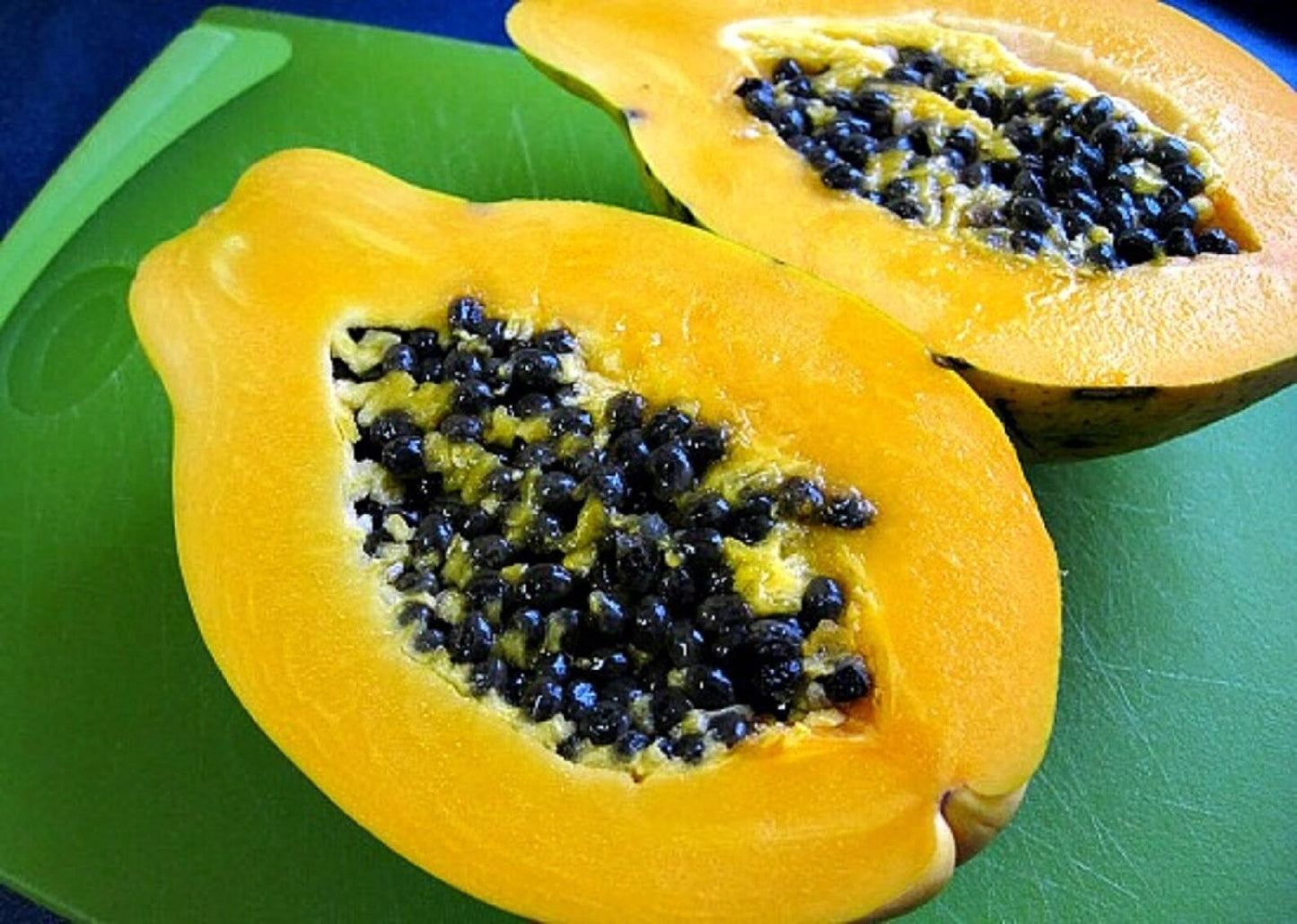 Papaya " Waimanalo  " Exotic 15 Fruit Seeds