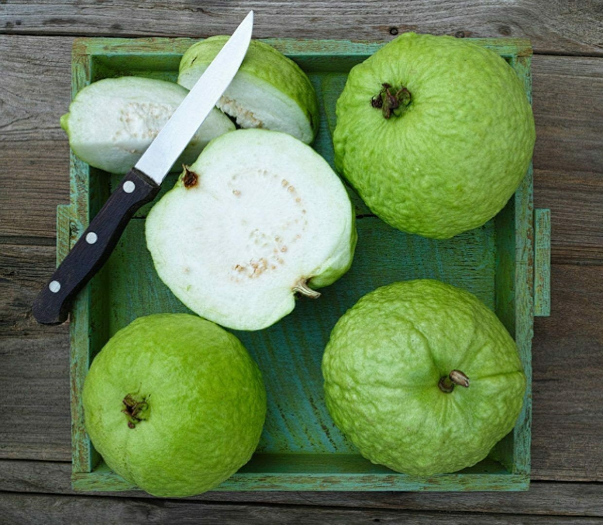 Guava " Thai 5  " Exotic 40 Fruit Seeds