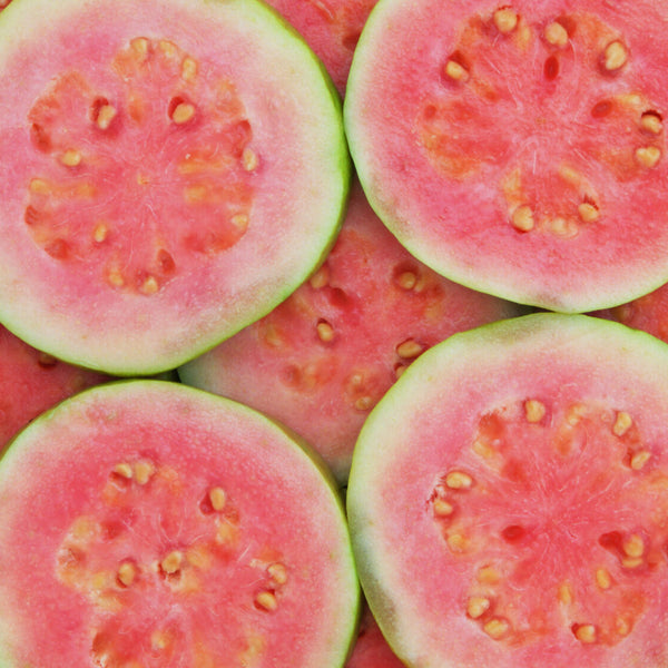 Guava 