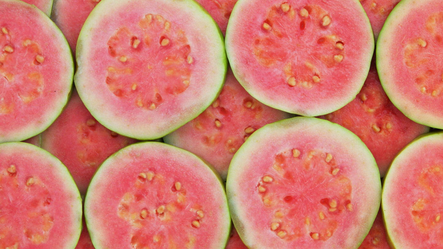 Guava " Taiwan Pink  " Exotic 40 Fruit Seeds
