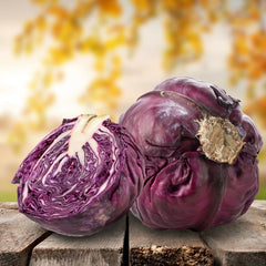 Cabbage 