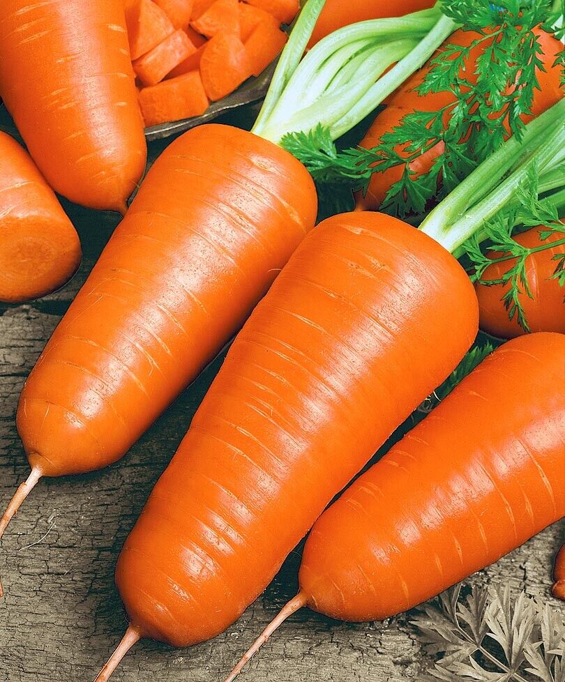 Carrot " Royal Red " Exotic 40 Vegetable Seeds – M-Tech Gardens