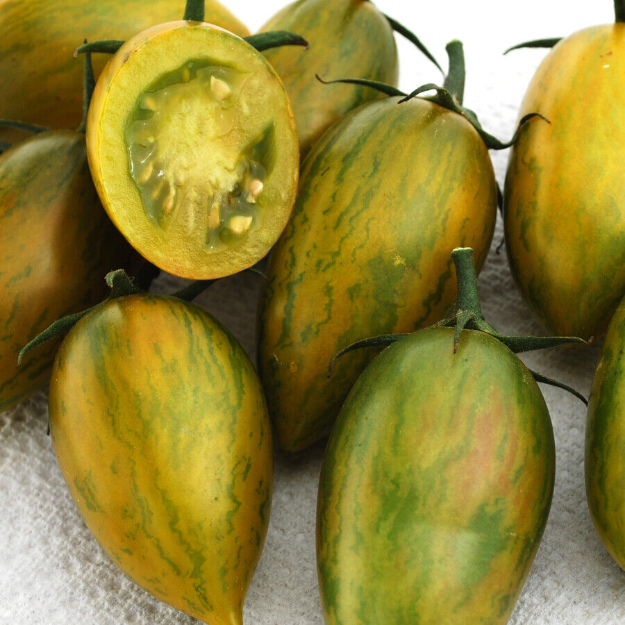 Tomato " Green Tiger  " Exotic 100 Vegetable Seeds
