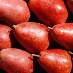 Pear 